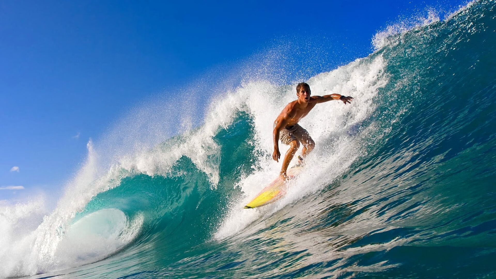 全球体育赛事活动不断增加